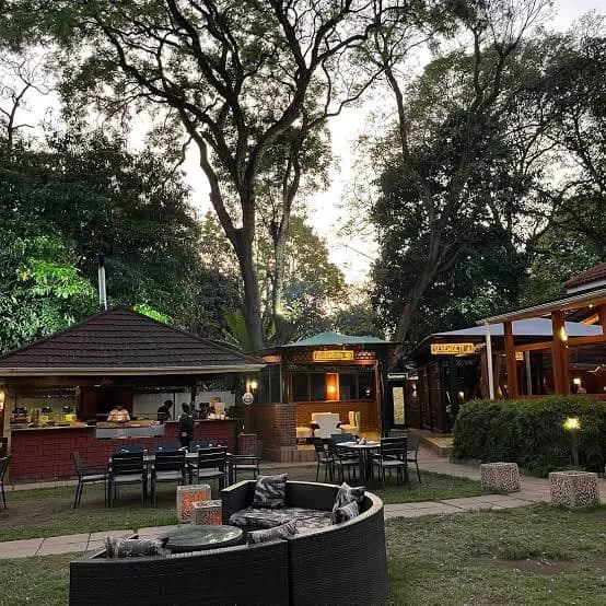 Amber's garden by day, with a sunken lounge and fire pit under the trees